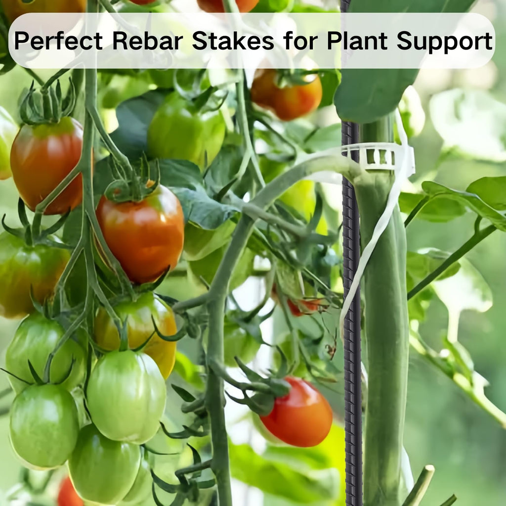 24" Rebar Stakes 1/2" / 1/4" Diameter | Heavy Duty Ground Spikes for Concrete Forms & Landscape Timber